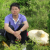 Wenbo Yang
